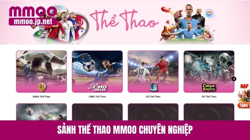 Sảnh thể thao MMOO chuyên nghiệp